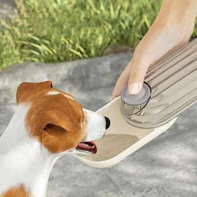 2 In 1  Portable Pet  Drinking and Feeding cup