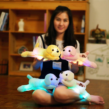 colorful LED light glowing dogs