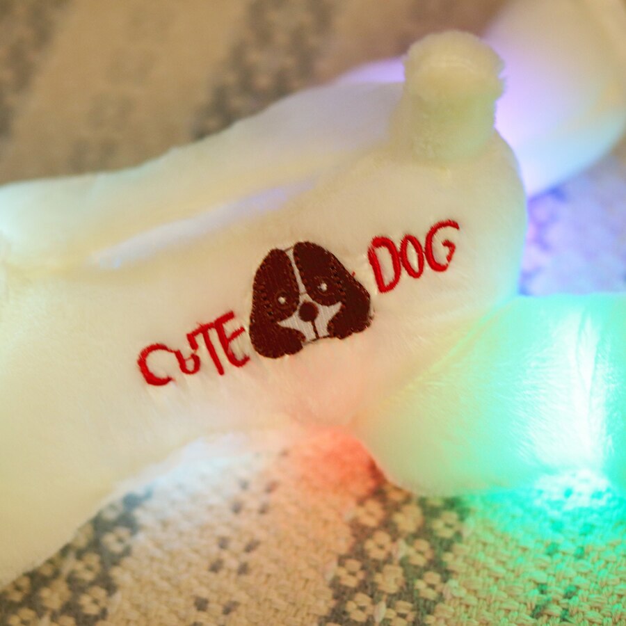 colorful LED light glowing dogs