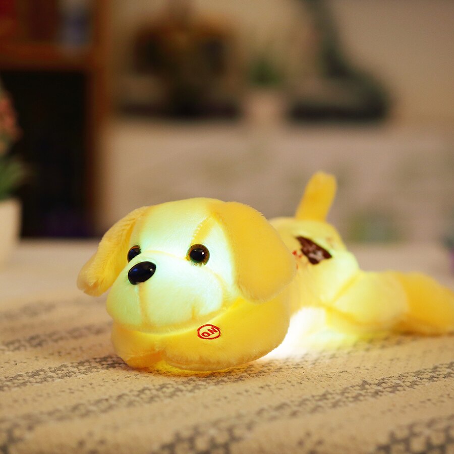 colorful LED light glowing dogs