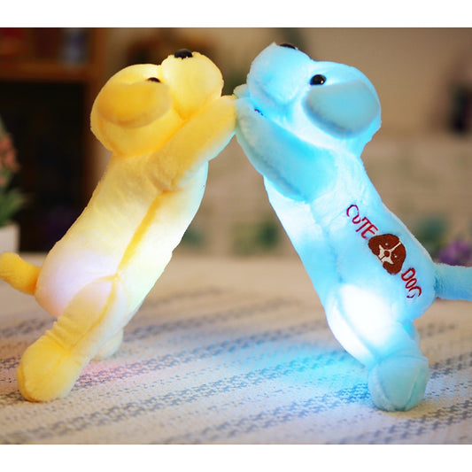 colorful LED light glowing dogs